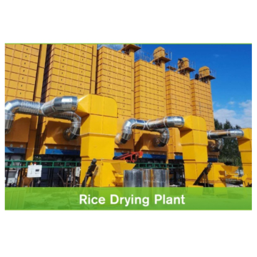 Professional Design Services for Mini Paddy Rice Dryer Machines and Parboiled Rice Production Lines