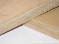 1160 * 2440 * 28 mm wadah lantai kayu lapis