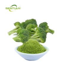 Best Broccoli Powder Supplement for Health