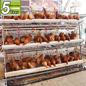 Egg laying chicken cage /chicken cage for laying/layer chicken cage(manufacturer)