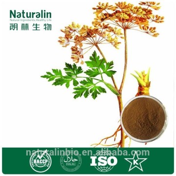 Angelica powder/ligustilide angelica extract/Angelica Extract 10:1