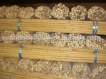 natural bamboo pole