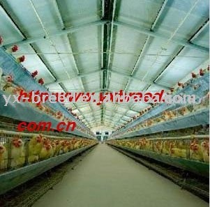 poultry cage equipment