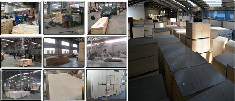 610*2500MM 12mm sign grade poplar core HDO/MDO plywood for sale