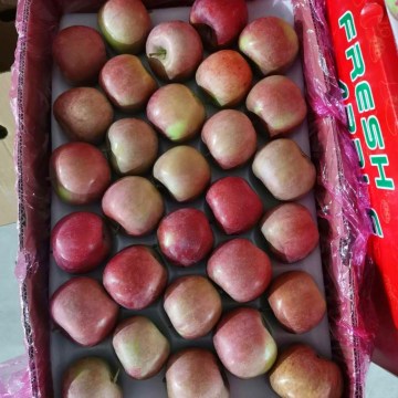 fresh western delicious plastic bag fuji apple