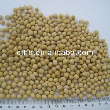 Soya beans/yellow soya beans