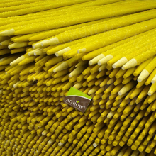 Plant Fiberglass Training Stakes