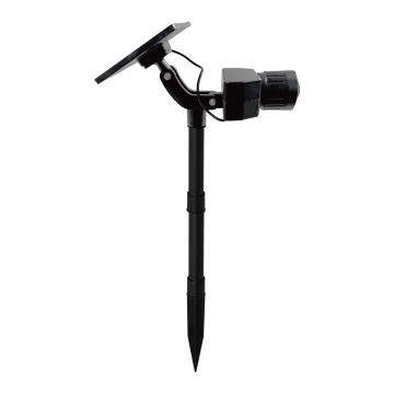 Security Light with Camera