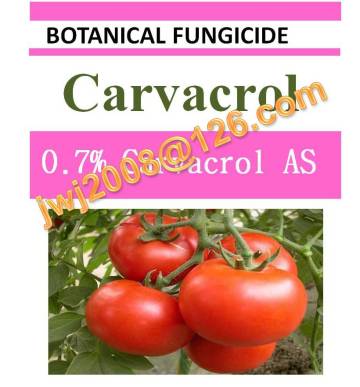 botanical fungicide 0.7% Carvacrol AS natural organic