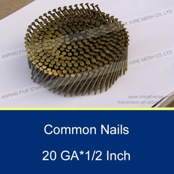 BWG9*2.5" Electro Galvanized Common nails