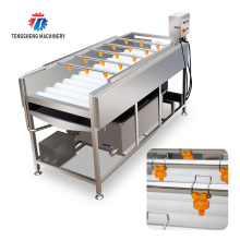 High Quality Vegetable and Fruit Washer: Potato, Tomato, Carrot, Ginger, Fruit Washing Machine