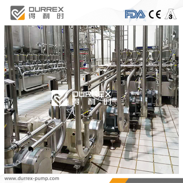 Vinylon slurry transfer rotary lobe pumps