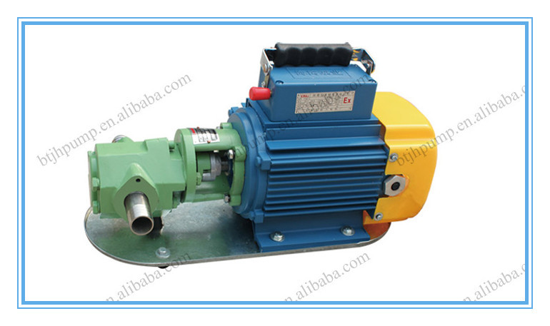 Single-phase 220V portable gear pump
