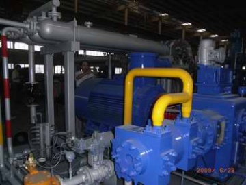 Type D Compressor in The Mother Station