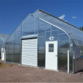 Struktur Gothic High Quality Arch Film Greenhouse