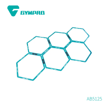 GOOD Hexagon Agility LADDER