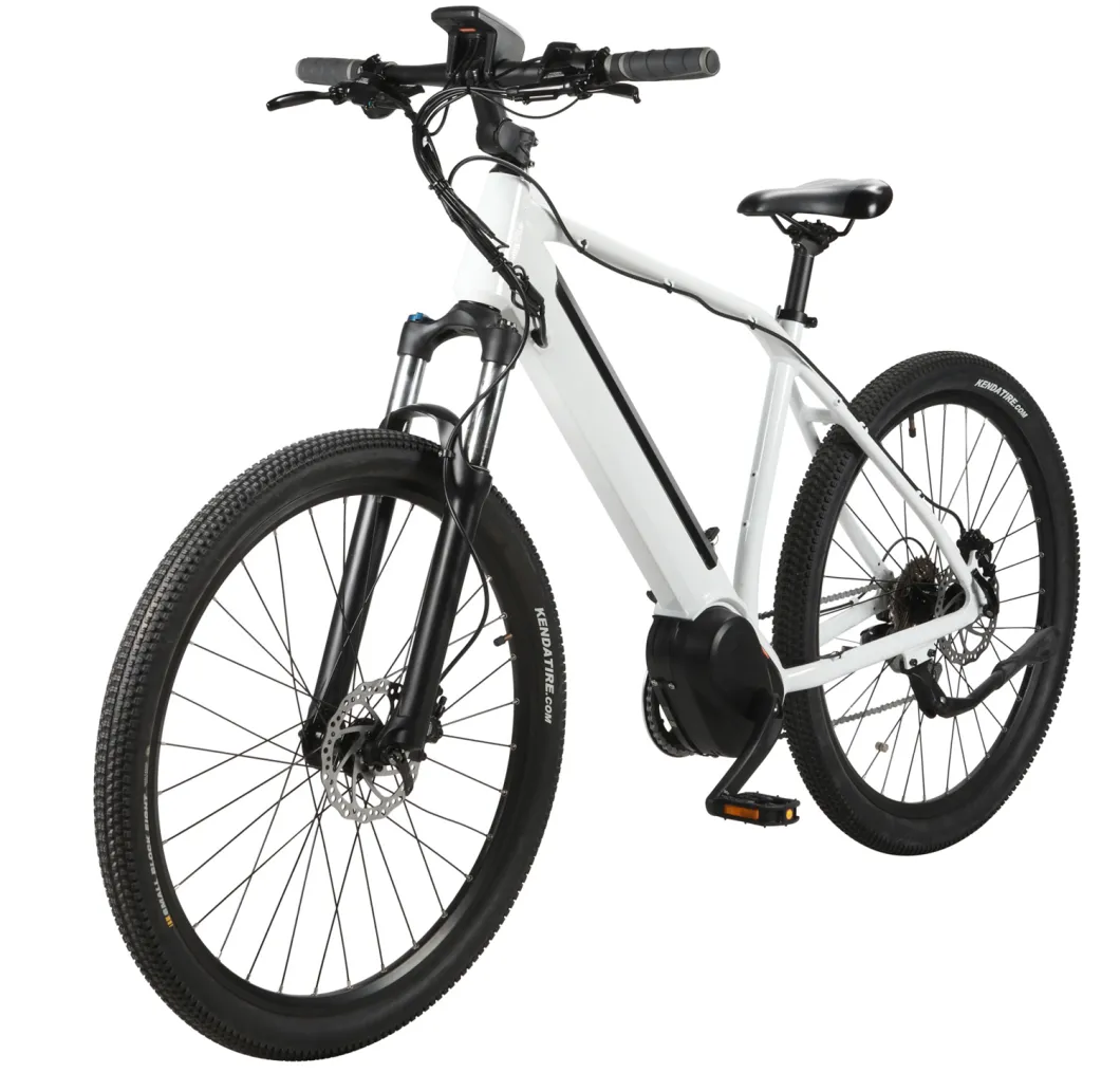 EU Stand Urban Riding Ebike 36V250W Kit for Electric Bike Bafang Motor Bicycle