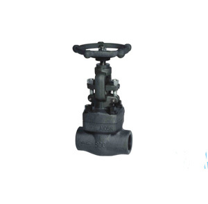 Forged Steel Gate Globe Check Valve
