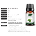 Bulk organic natural Therapeutic Grade melissa essential oil