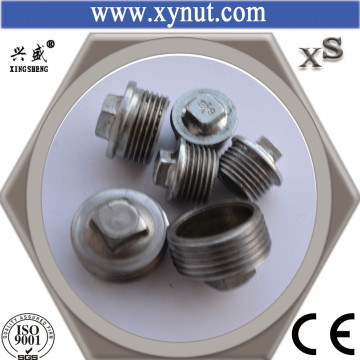 Stainless Steel Threaded Plug, Square Plug