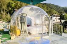 transparent tent dome bubble gardon igloo dome tent