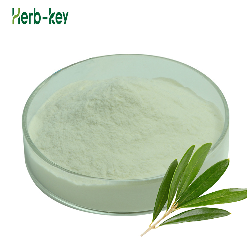 Herbal Extract Natural Oleanolic Acid