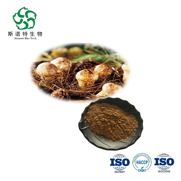 Tricholoma Matsutake Extract Tricholoma Matsutake Extract