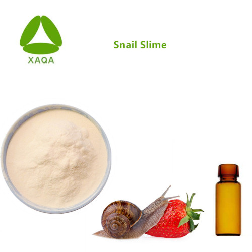 Cuidados com a pele Anti-rugas Materiais Snail Slime Extract Pó