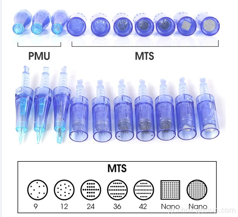 Choicy ultima a6 dermapen dermal βελόνα