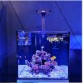 Intelligent high power saltwater light