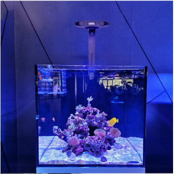 Intelligent high power saltwater light