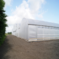 Reinforced Commercial Plastic Greenhouse with Equipment