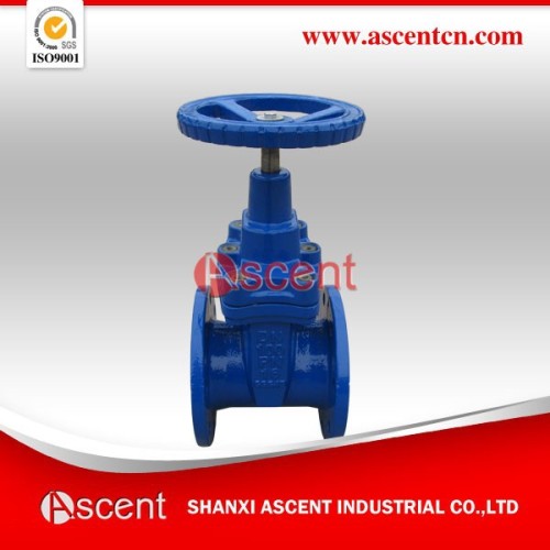 Ansi Cast Steel Gate Valve