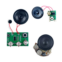 Custom Sound Modules & Musical Chips: ODM/OEM Electronic Circuits