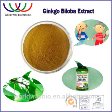 GMP HACCP KOSHER certified factory supply ginkgo biloba extract , free samples 24/6 Gingko Biloba Leaf Extract powder