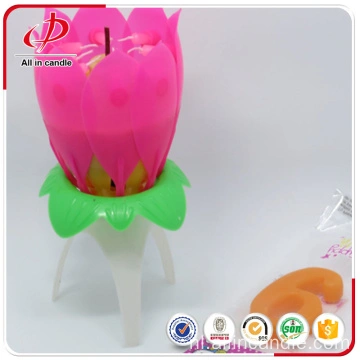 China 12 Kleuren Verjaardag Liedjes Muziek Kaars Met Geschenkdoos Bloem Kaars Lotus Vuurwerk Kaars Lotus Draaiende Kaars Leverancier