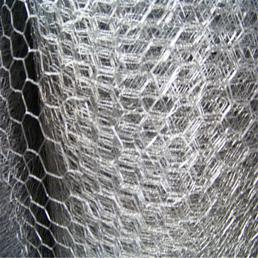 Hot sale hexagonal 1/2 inch Chicken coop wire mesh fence