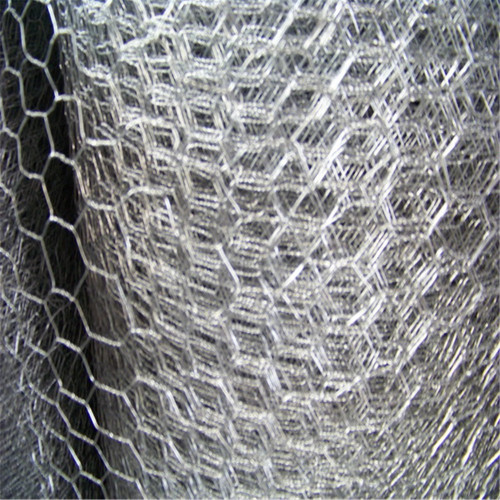 Dijual panas heksagon 1/2 inci Chicken wire mesh mesh pagar