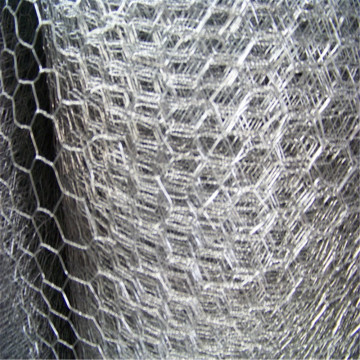 Hot sale hexagonal 1/2 inch Chicken coop wire mesh fence
