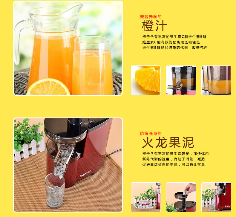 vegetable fruit juicer