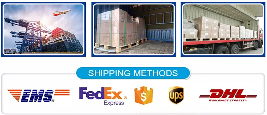 Tzbot 1500kg Load Autonomous Mobile Robot Material Handling Equipment Forklift Agv
