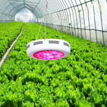 Hydroponic lighting-led grow light-led grow lamps