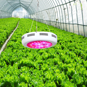 Hydroponic lighting-led grow light-led grow lamps