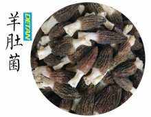 Whole Dried morels /morchella esculenta