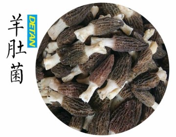 Whole Dried morels /morchella esculenta