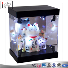 Lighted Acrylic Display Box With Color LED,LED Lighted Display Case