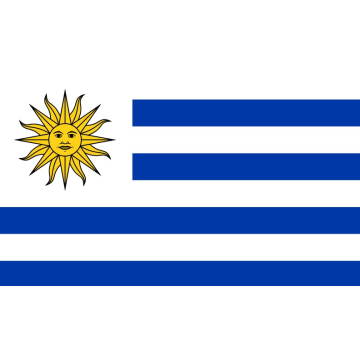 Uruguay Customs Declaration Shipper and Consignee