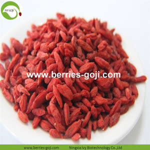 โรงงานซัพพลายผลไม้พรีเมี่ยม Dark Red Goji Berry