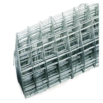 Galvanized Welded Wire Netting