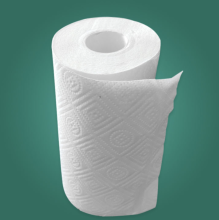 2Ply Kitchen Tissue Rolls Kitchen Paper Towel Roll
